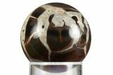Polished Septarian Nodule Sphere - Morocco #330228-1